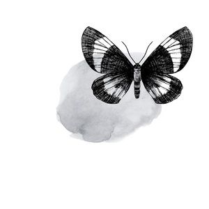 Meet your Posher, Azra idrish